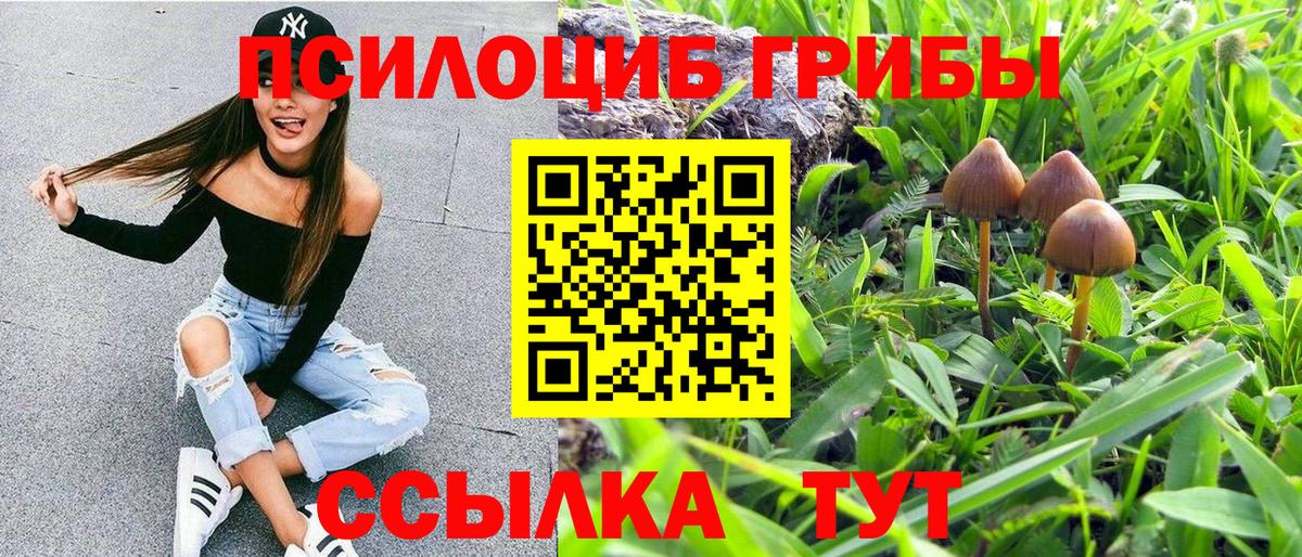 Галлюциногенные грибы Magic Shrooms  Псилоцибиновые грибы мухоморы  Энгельс  Вход с VPN 